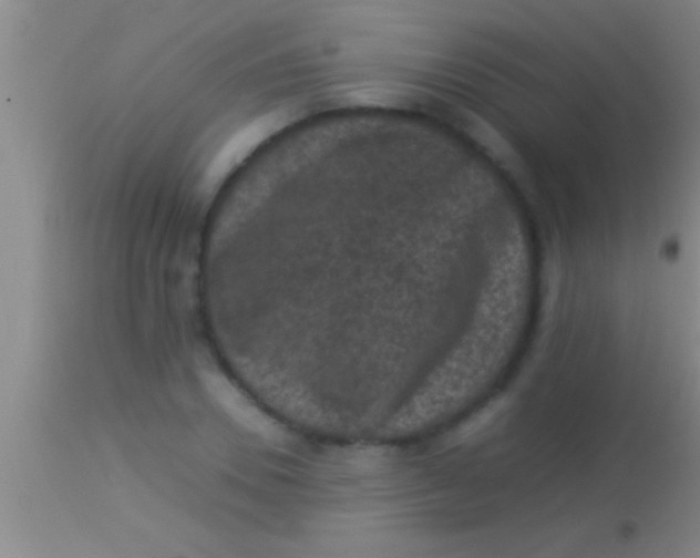 X0000113950930200910161936