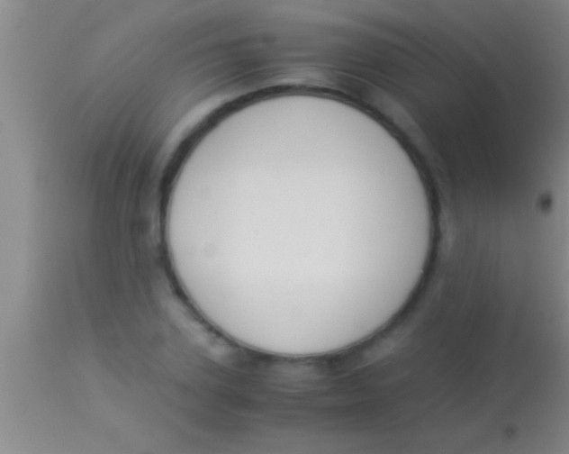 X0000113950931200910161936
