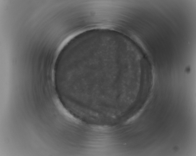 X0000113950932200910161936