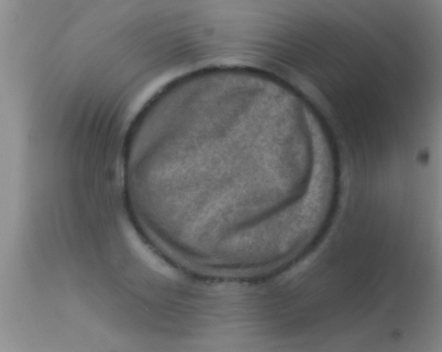 X0000113950934200910161936