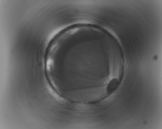 X0000113950935200910161936