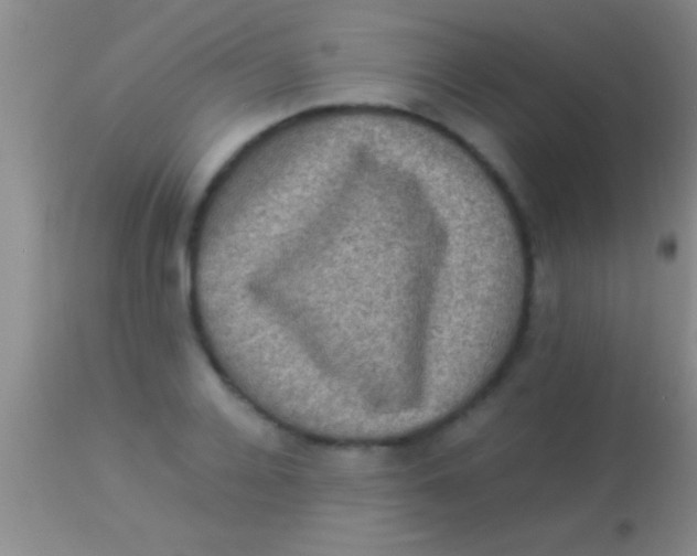 X0000113950936200910161936