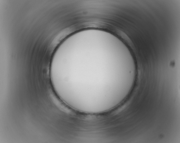 X0000113950938200910161936