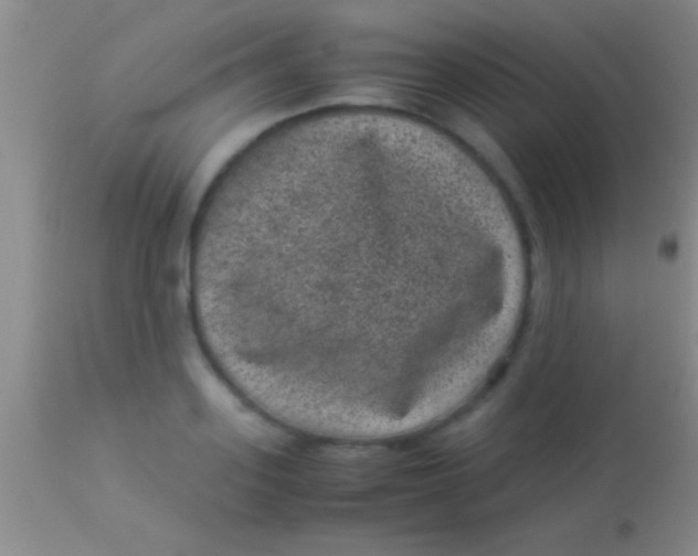 X0000113950939200910161936