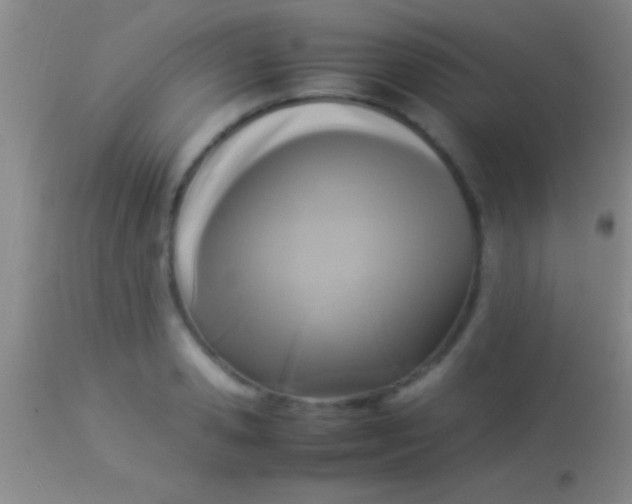 X0000113950941200910161936