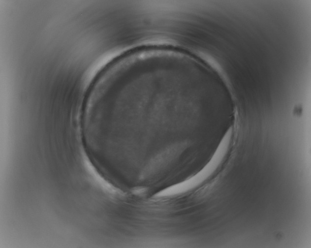 X0000113950943200910161936