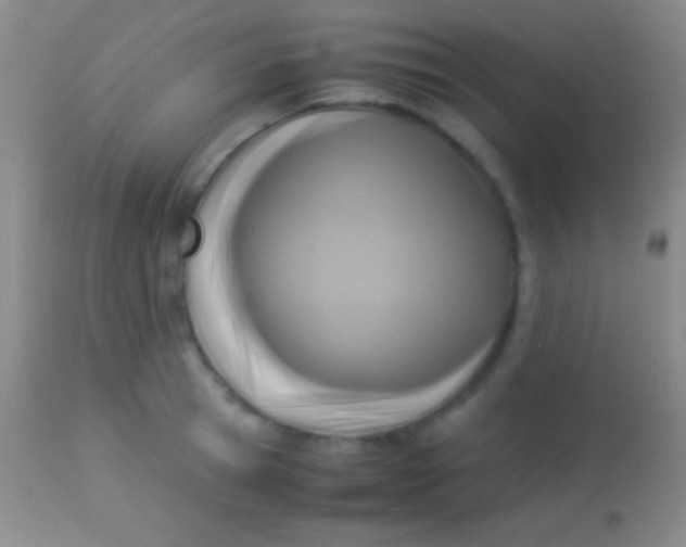 X0000113950945200910161936