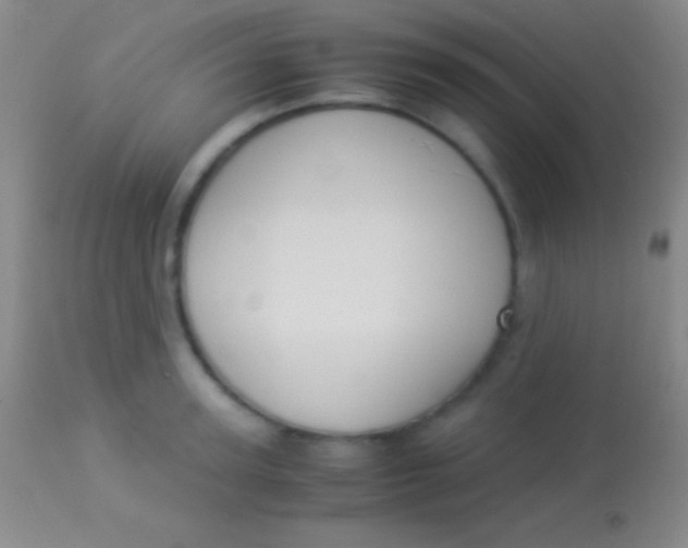 X0000113950947200910161936