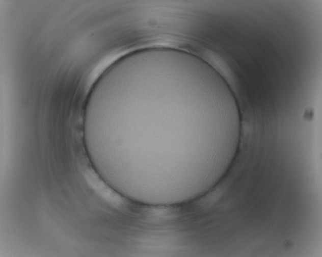 X0000113950948200910161936