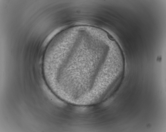 X0000113950949200910161936