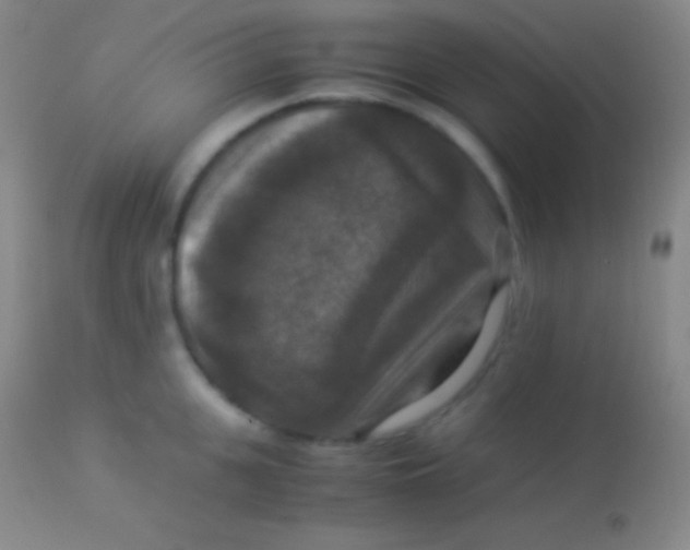 X0000113950951200910161936