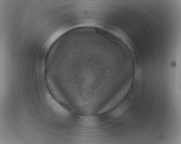 X0000113950952200910161936