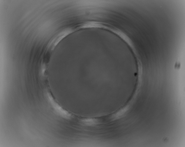 X0000113950953200910161936