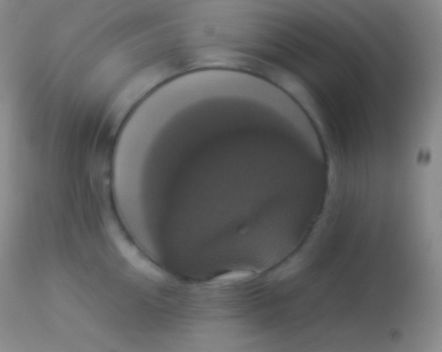 X0000113950954200910161936