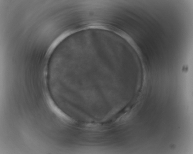 X0000113950955200910161936