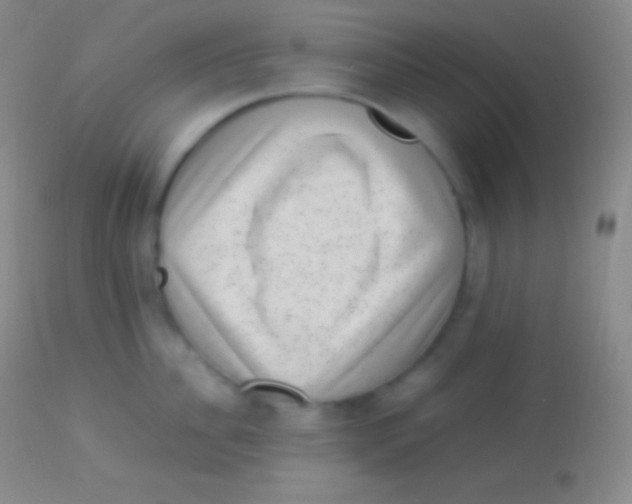 X0000113950956200910161936