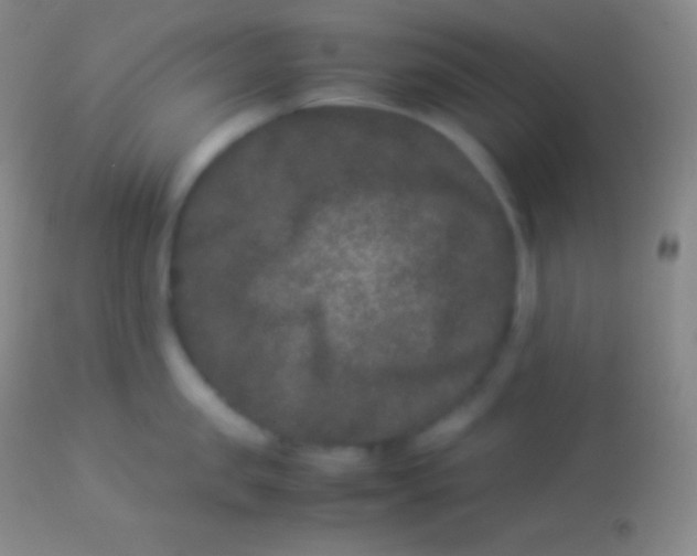 X0000113950957200910161936