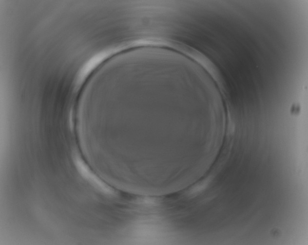 X0000113950958200910161936