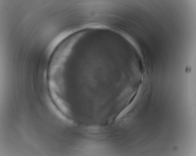 X0000113950959200910161936