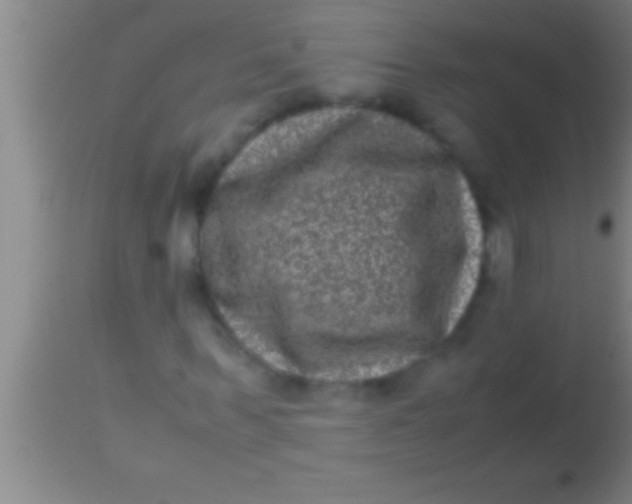X0000113950963200910161935