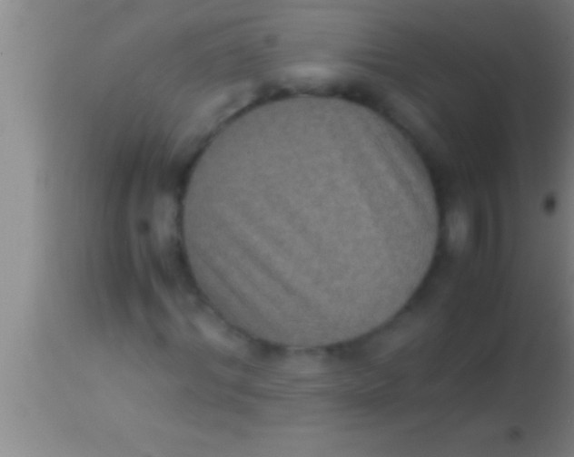 X0000113950964200910161935