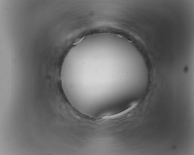 X0000113950965200910161935