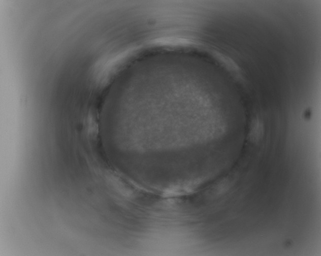 X0000113950966200910161935