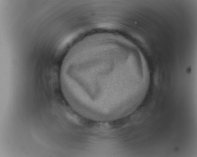 X0000113950968200910161935