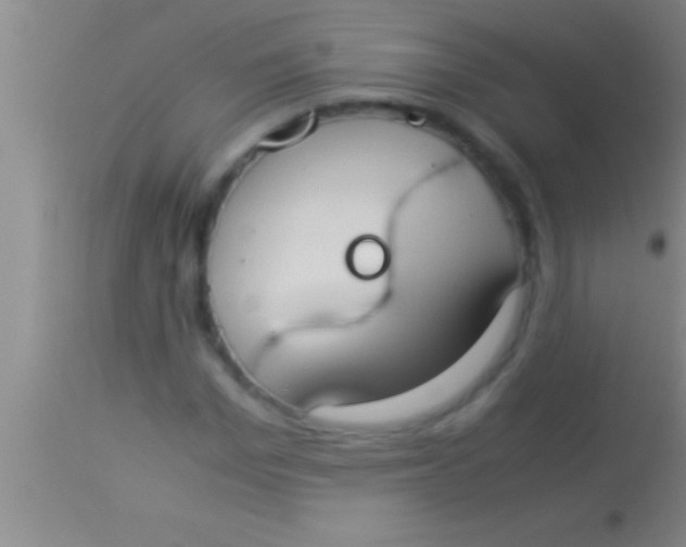 X0000113950969200910161935