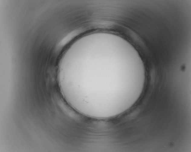 X0000113950970200910161935