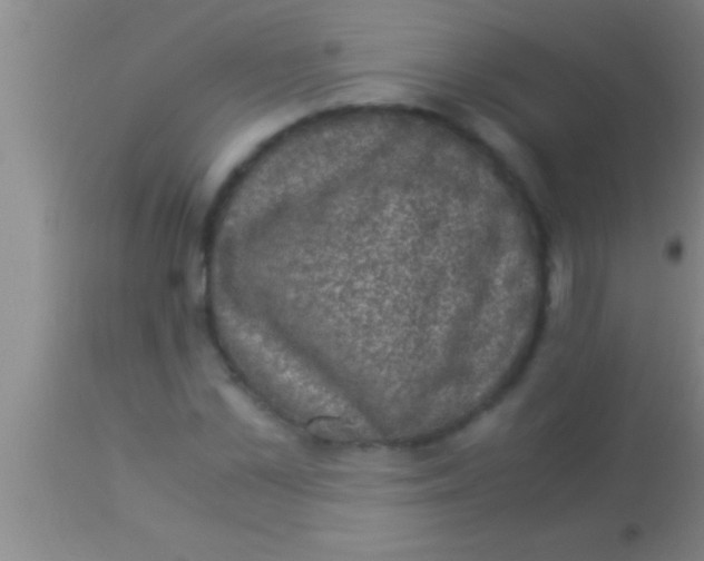 X0000113950973200910161935