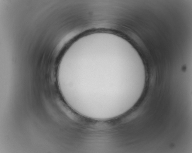 X0000113950974200910161935