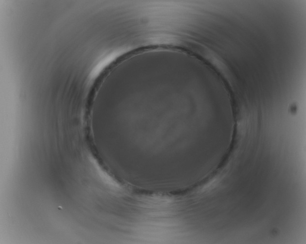 X0000113950975200910161935