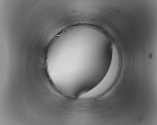 X0000113950977200910161935