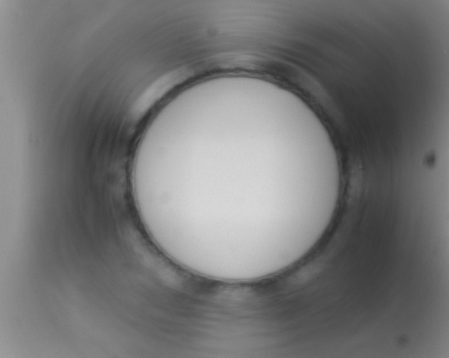 X0000113950978200910161935