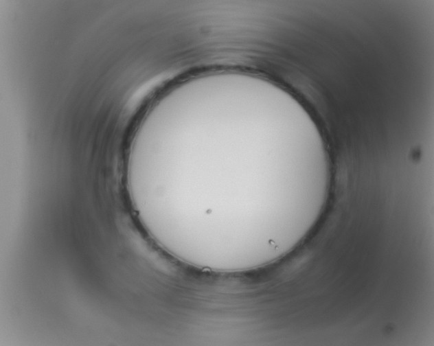 X0000113950979200910161935