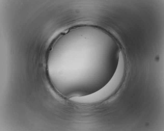 X0000113950981200910161935