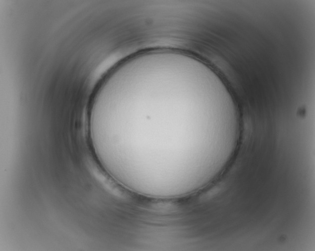 X0000113950982200910161935