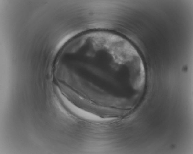 X0000113950983200910161935
