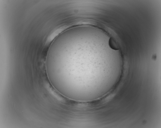 X0000113950985200910161935