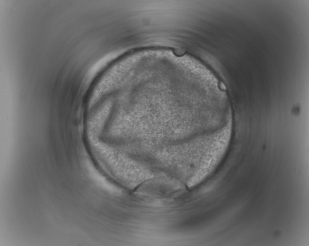 X0000113950987200910161935