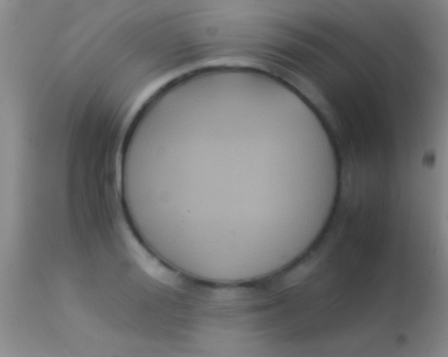 X0000113950988200910161935