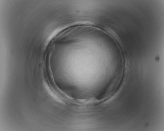 X0000113950989200910161935