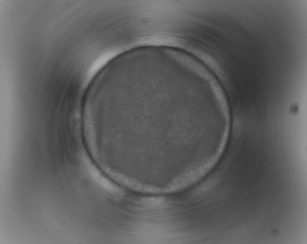 X0000113950990200910161935