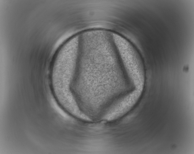 X0000113950991200910161935