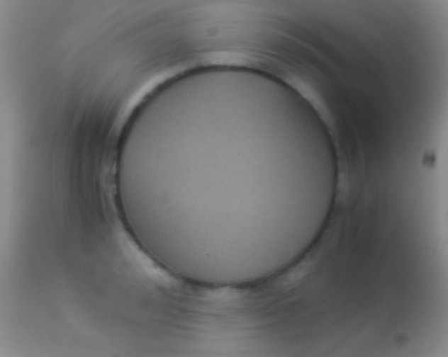 X0000113950992200910161935