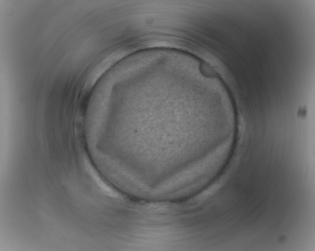 X0000113950993200910161935