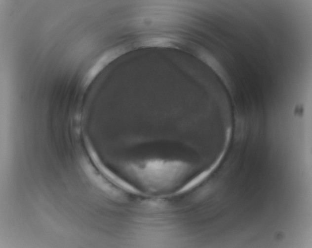 X0000113950994200910161935