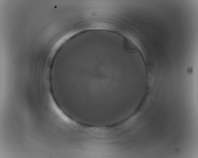 X0000113950995200910161935