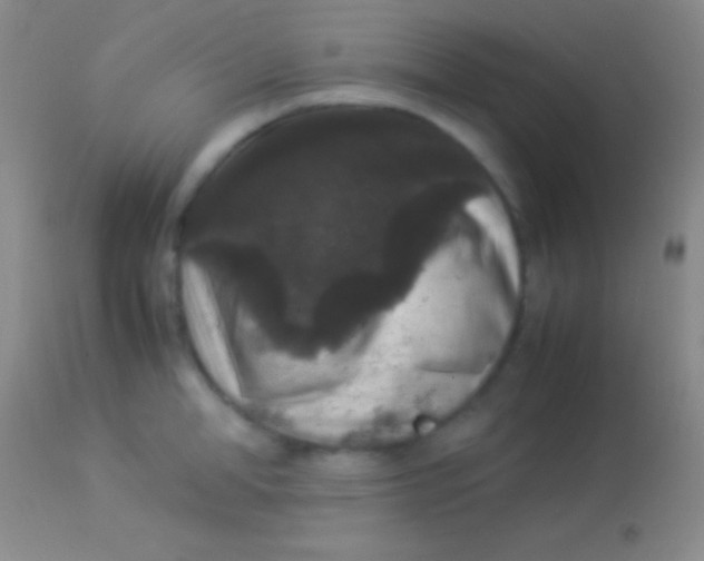X0000113950998200910161935